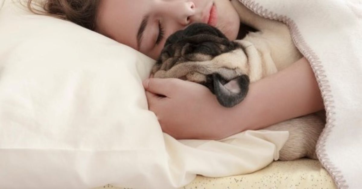 cagnolino dorme con la padroncina 