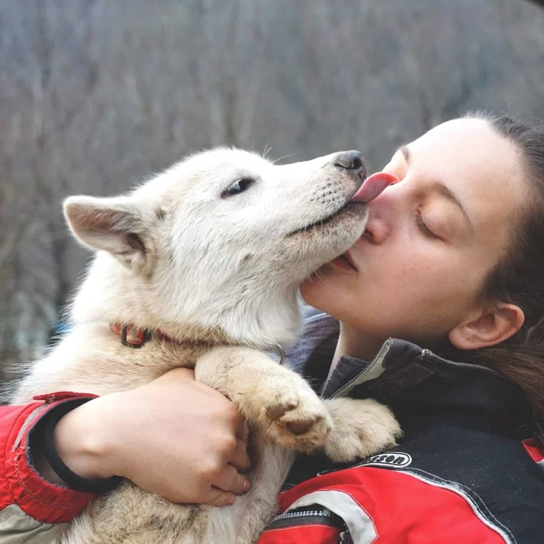 Un Canadian Eskimo Dog insieme all'allevatrice Alessandra Rizzo
