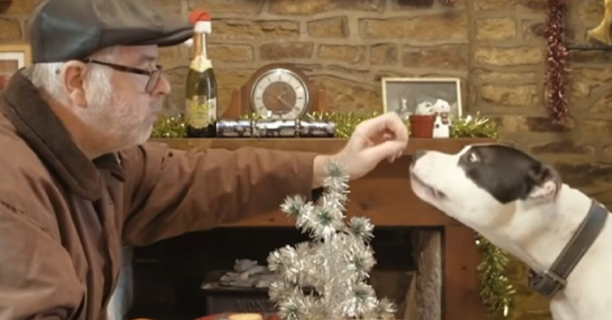 Lo spot di Natale con il Pitbull e il suo proprietario anziano che sta emozionando il mondo (video)