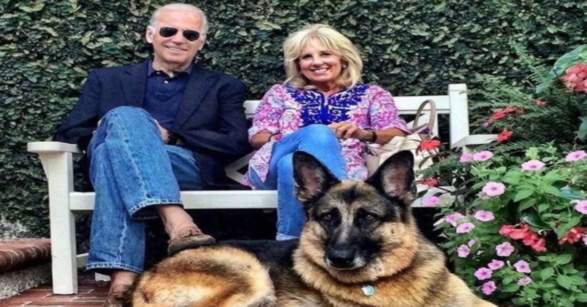 Il presidente Joe Biden, sua moglie e Champ, il suo Pastore Tedesco