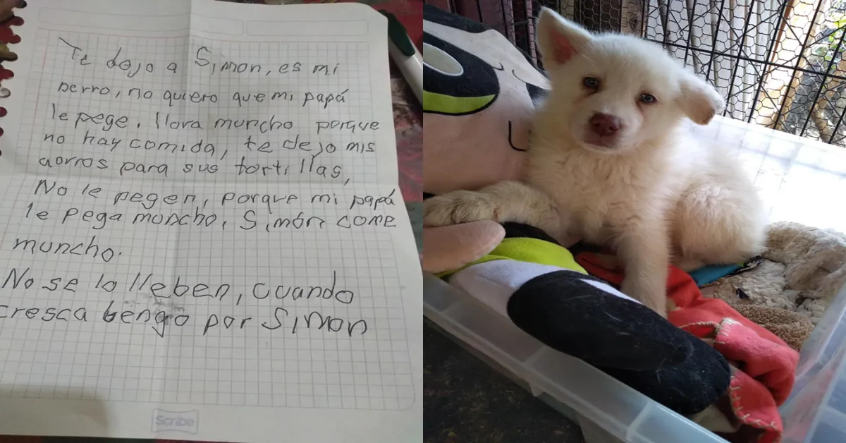 messaggio lasciato con il cucciolo Simon