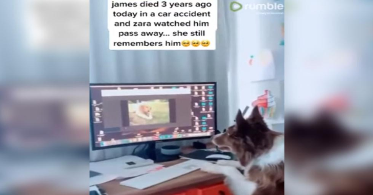Zara guarda video James al computer