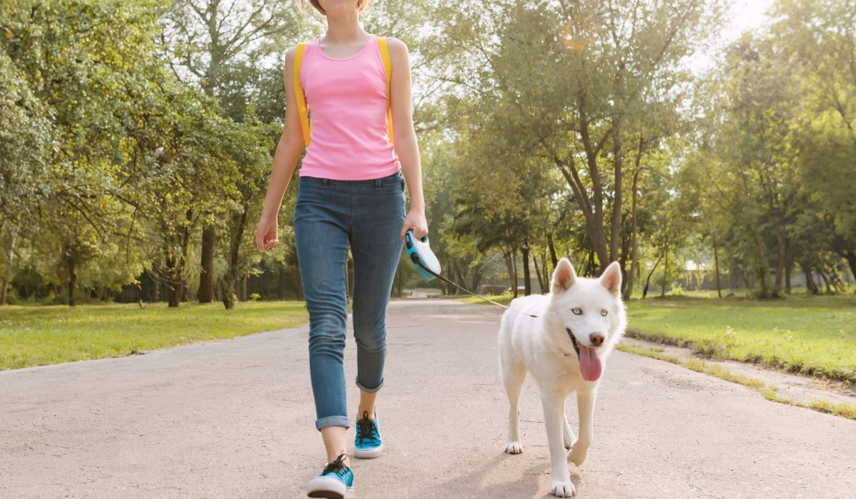 passeggiare con il cane al guinzaglio