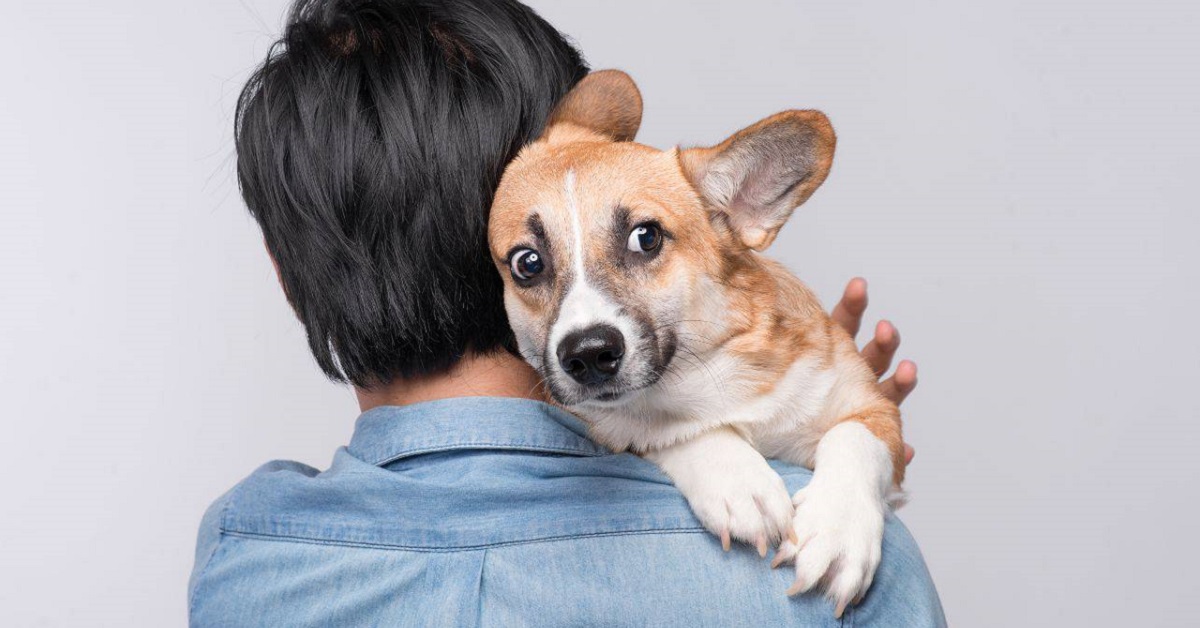 Attacco di panico nel cane: come identificarlo e come riuscire a intervenire subito