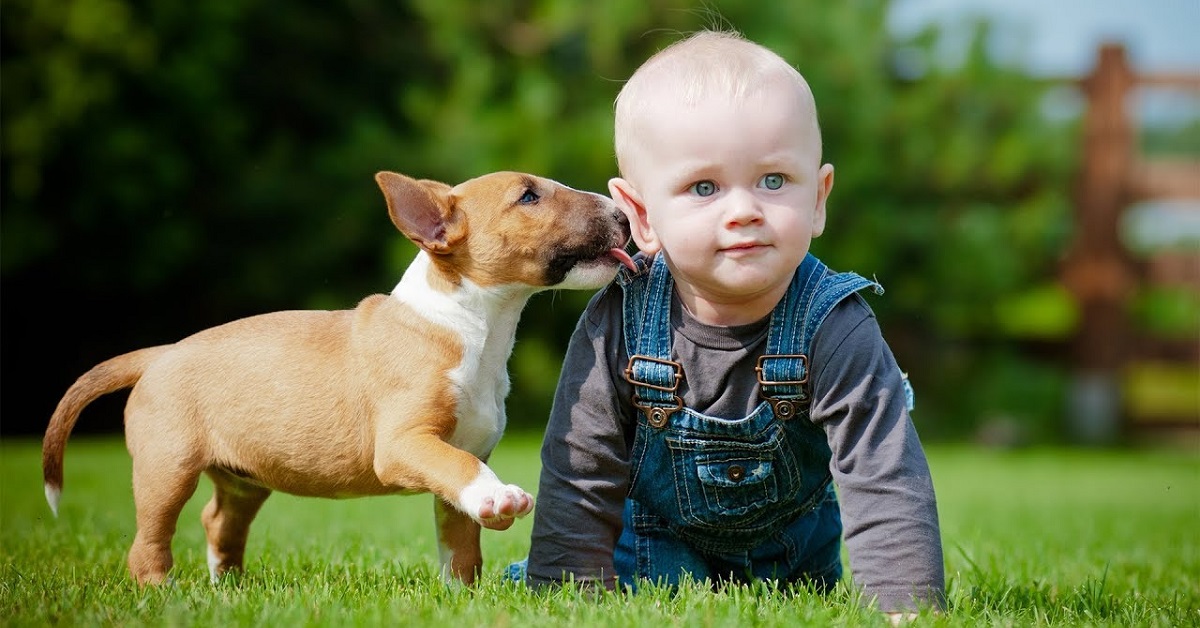 Cucciolo di cane sta sempre col bambino, come mai? È normale oppure no?