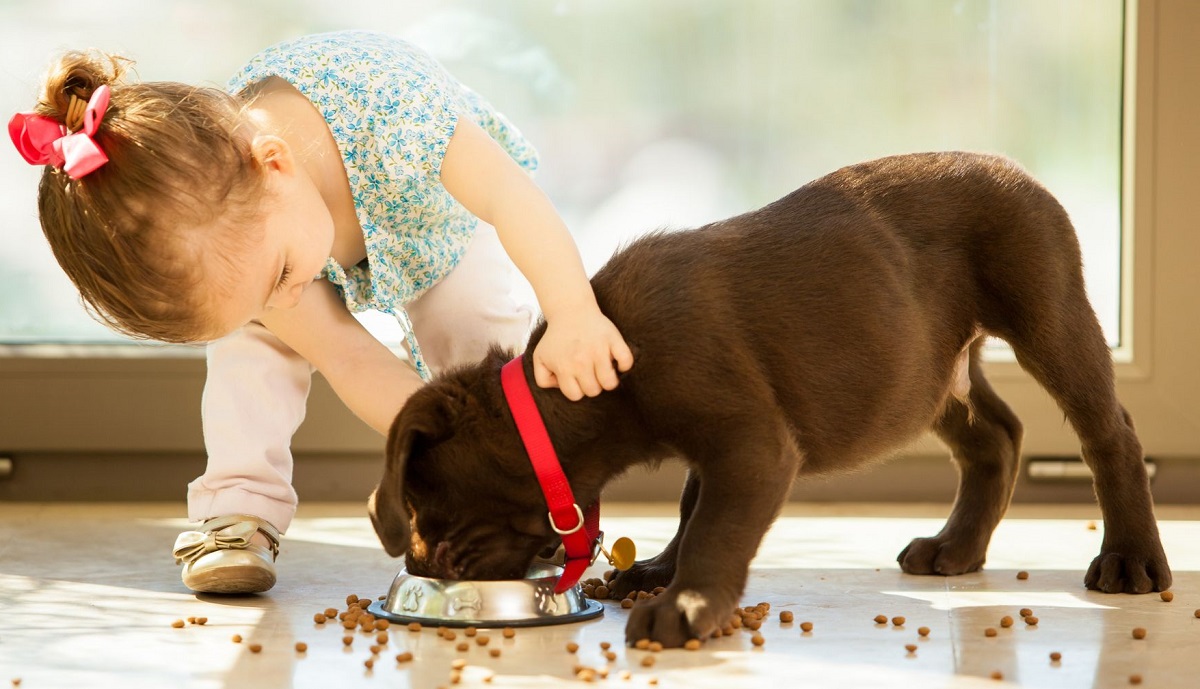 bambina gioca con cucciolo