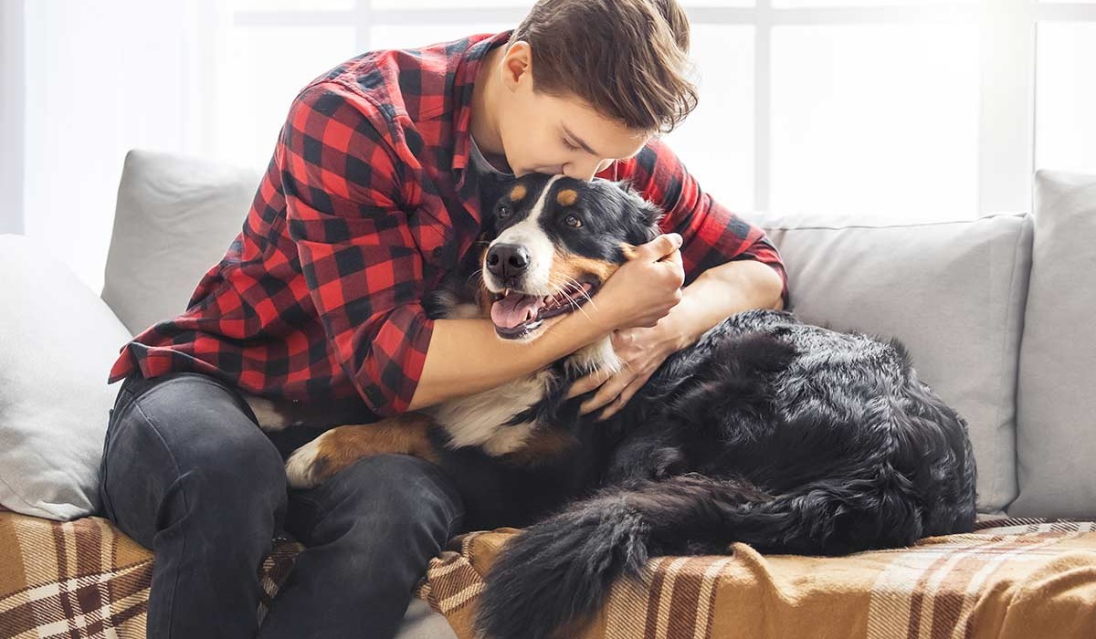 abbracciare il proprio cane