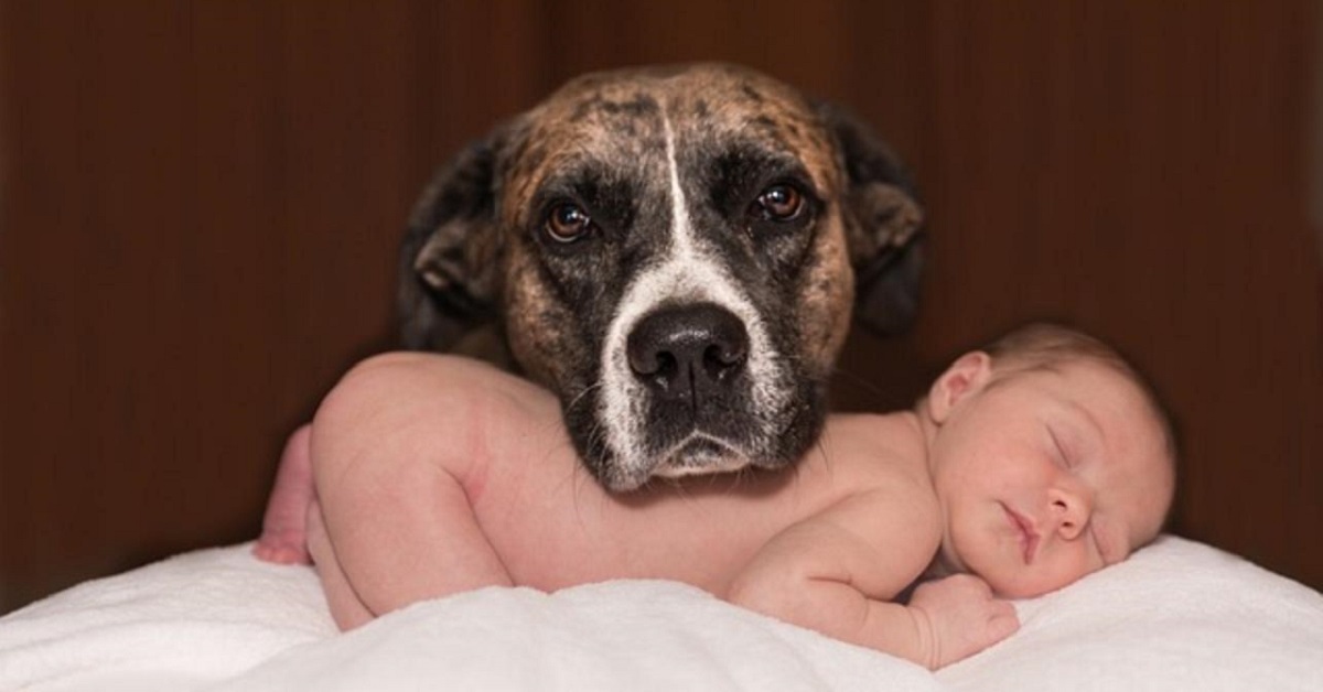 cane si prende cura di neonato