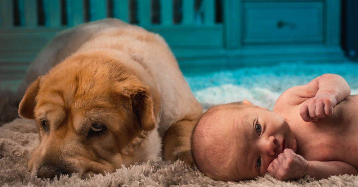 cane accanto a neonato