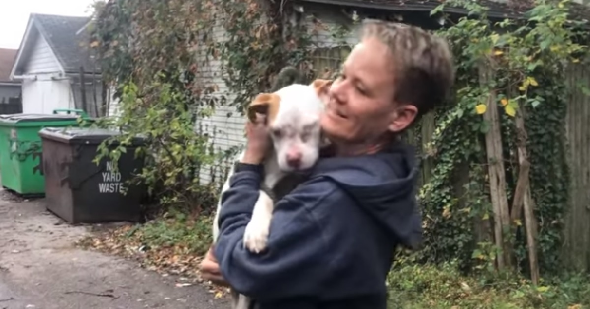 Chowder, il cucciolo salvato da sotto un materasso bagnato (VIDEO)