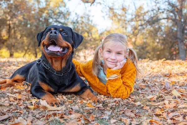 cuccioli di Rottweiler e bambini