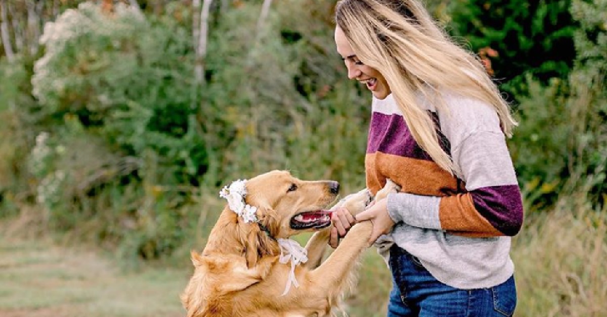 I veterinari rimasero sorpresi dalle condizioni della cucciola Golden Retriever (FOTO)