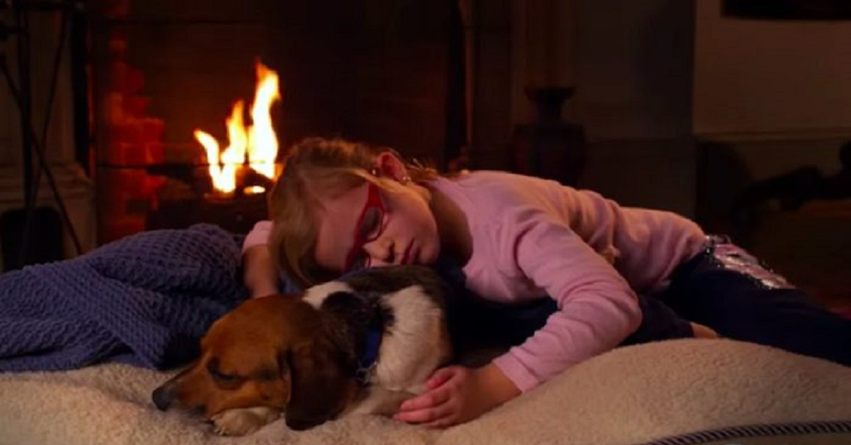 Nessuno voleva la cucciola Beagle di nome Suzie, una ragazzina le cambiò la vita con un gesto unico