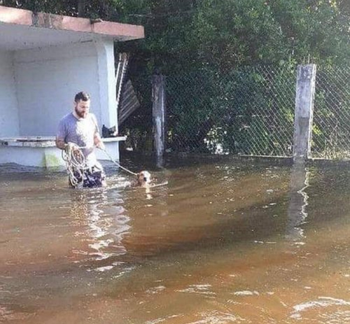 maximo cucciolo inondazione tabasco