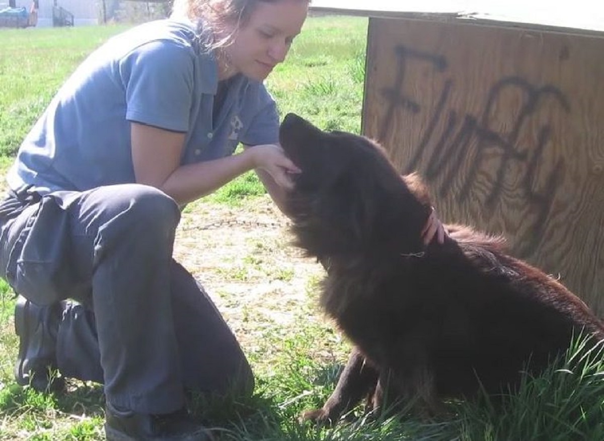 jessica ragazza salva cagnolina