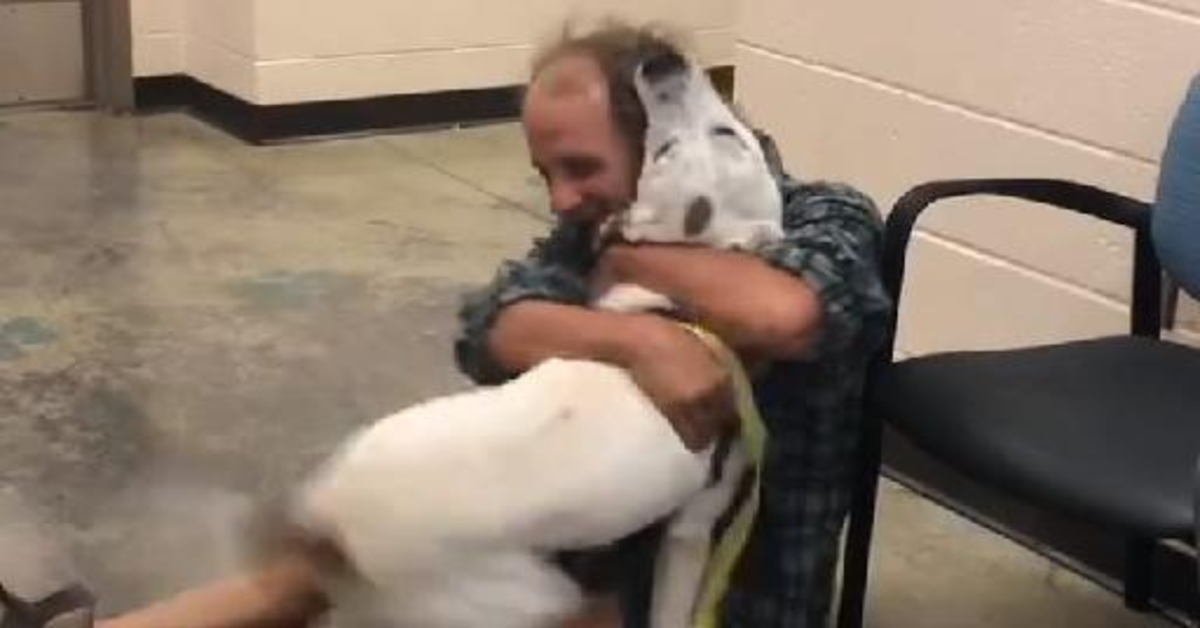 Il commovente rincontro fra un cucciolo di cane e il senzatetto suo padrone (VIDEO)
