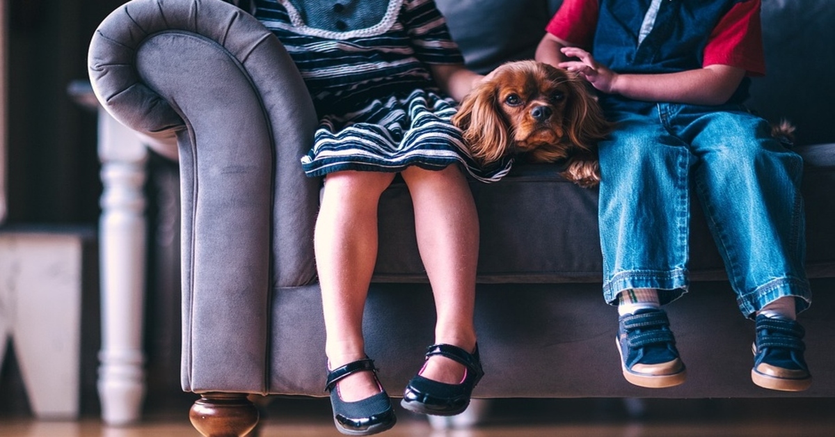 Attenzione a questi segnali se hai un cane e un bambino piccolo in casa insieme