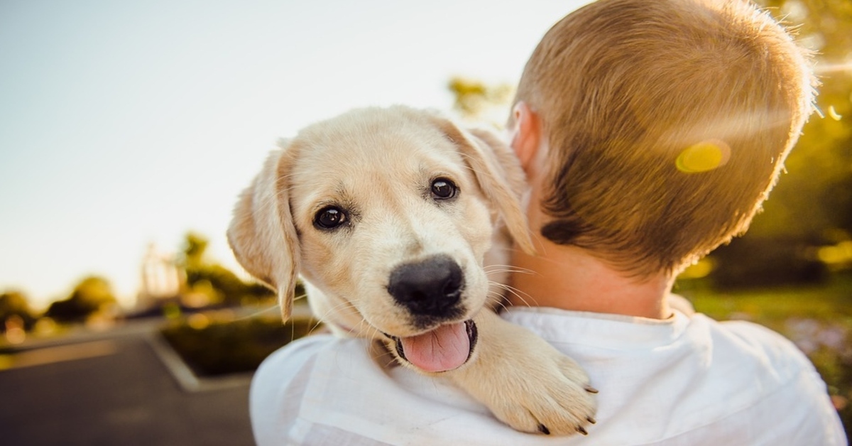 Attenzione a questi segnali se hai un cane e un bambino piccolo in casa insieme