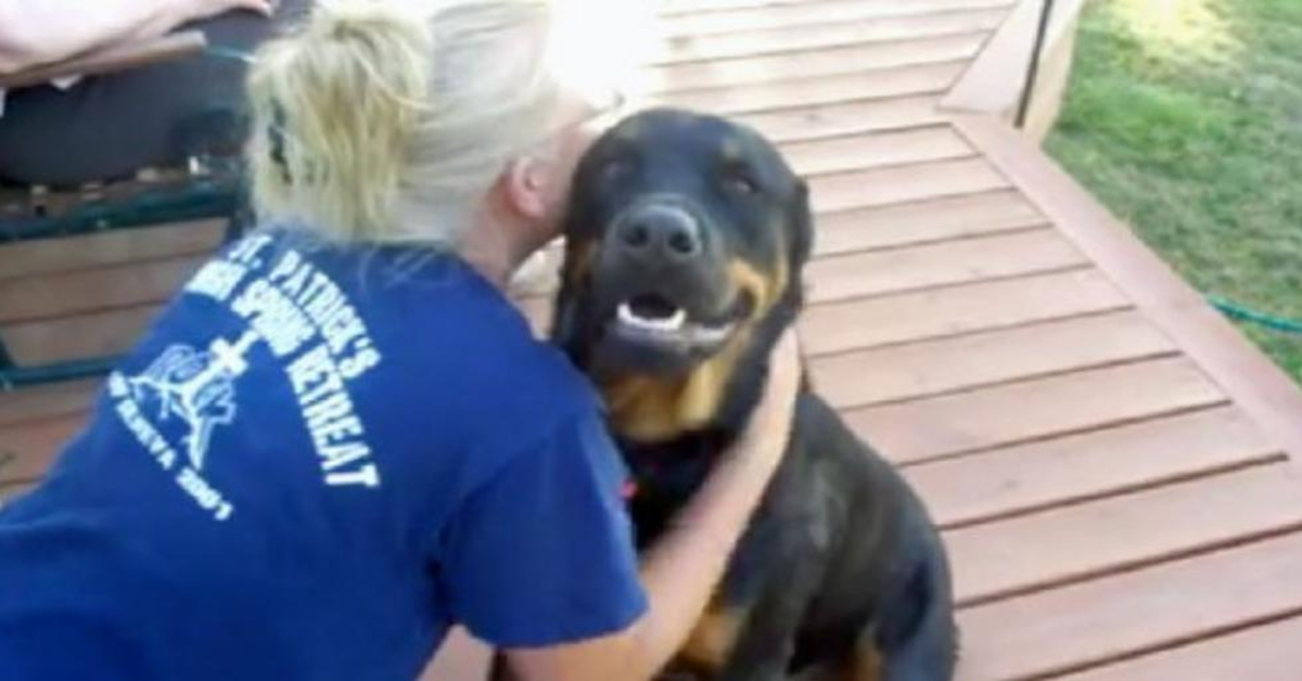 Rottweiler abbracciato dalla padrona