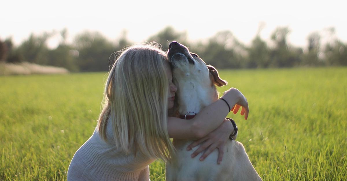 Il Labrador e la bambina giocano teneramente insieme (video)