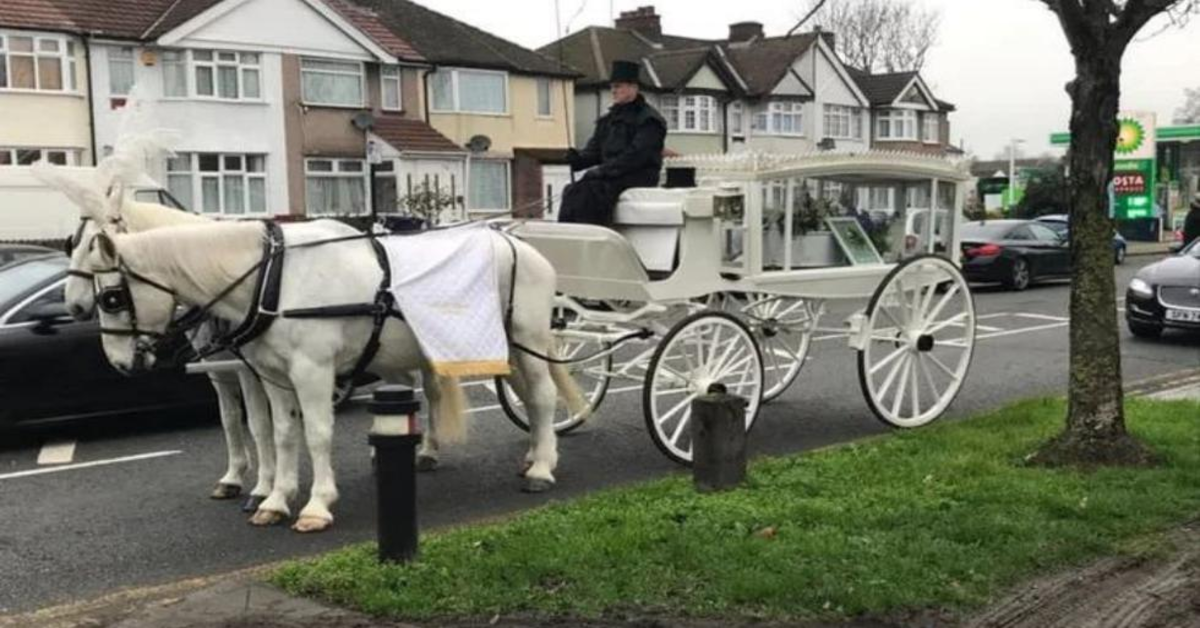 Una donna dice addio al suo adorato cucciolo di cane con un funerale costosissimo (VIDEO)