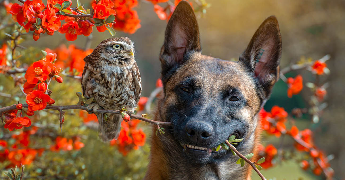 Poldi e Ingo con fiori