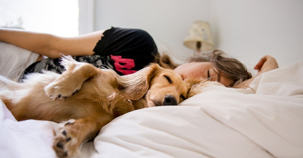 Attenzione, se dormi con il cane in una di queste posizioni sveli tutto del vostro rapporto