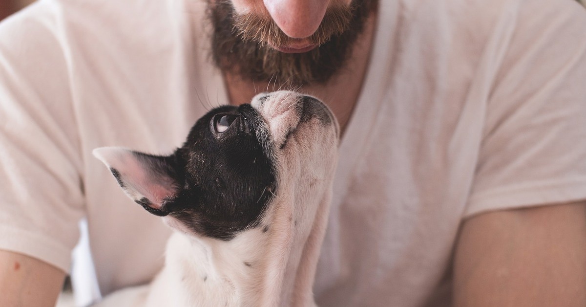 Ecco perché il cane fa gli occhi dolci: sa che scatena negli esseri umani delle precise emozioni