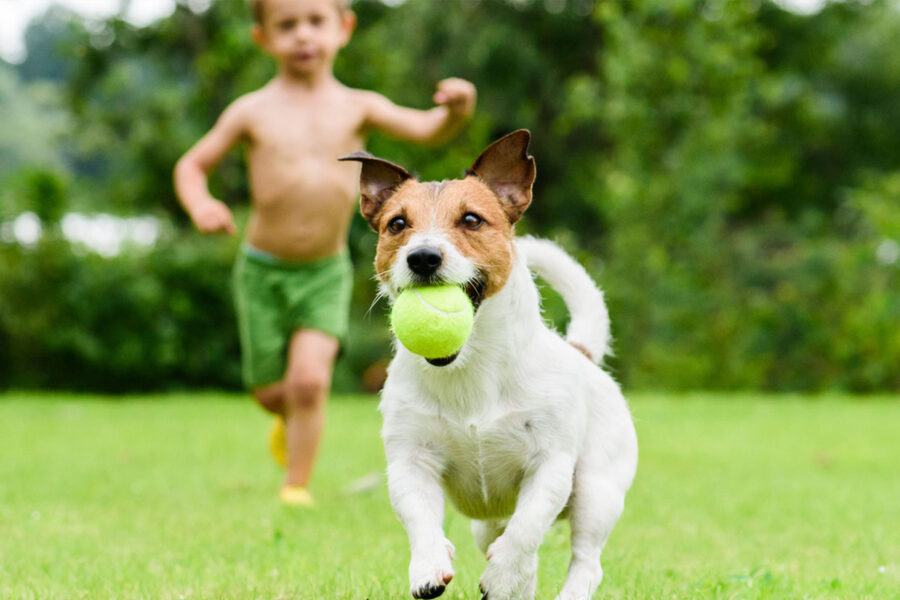 bambino rincorre cane