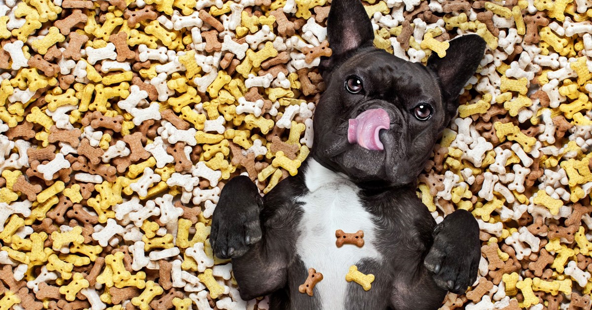 Cannoli per cani: la ricetta per quattrozampe da leccarsi i baffi