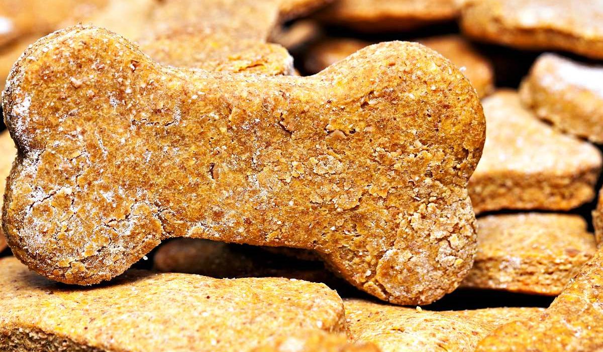 biscotti per cani a forma di osso
