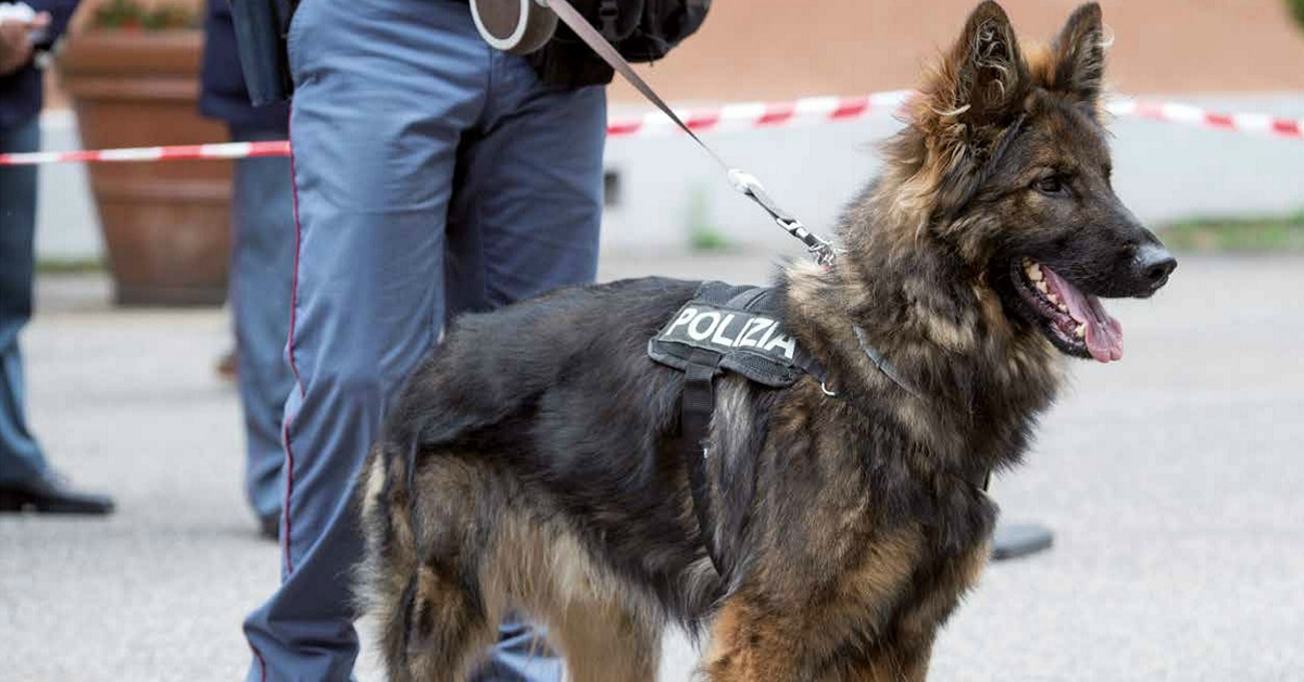 cane in polizia
