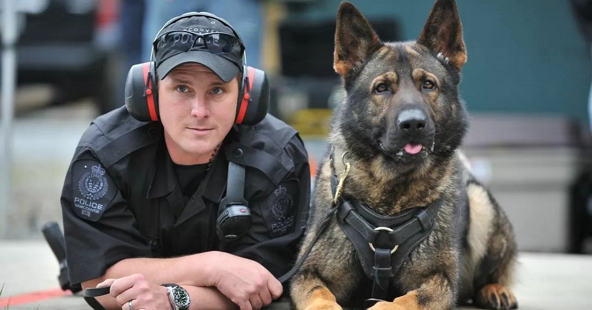 cane poliziotto e compagno