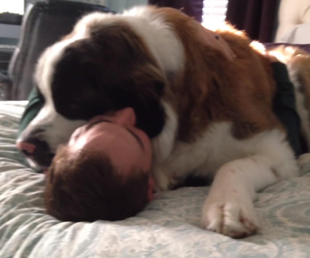 sully cucciolo cane abbraccio papà letto