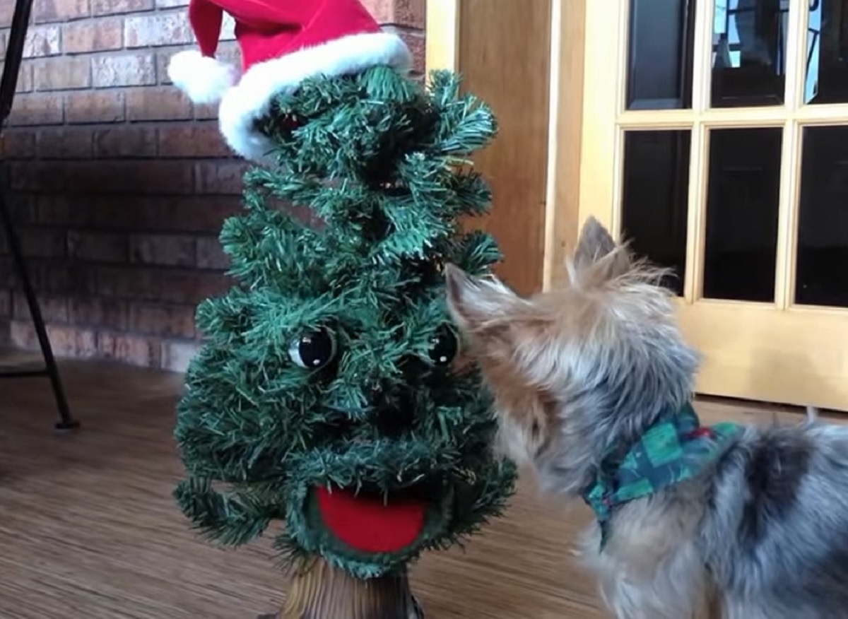 cucciolo cane albero di natale parlante