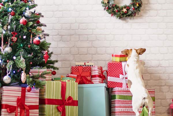 distrarre il cucciolo di cane dall'albero di Natale 