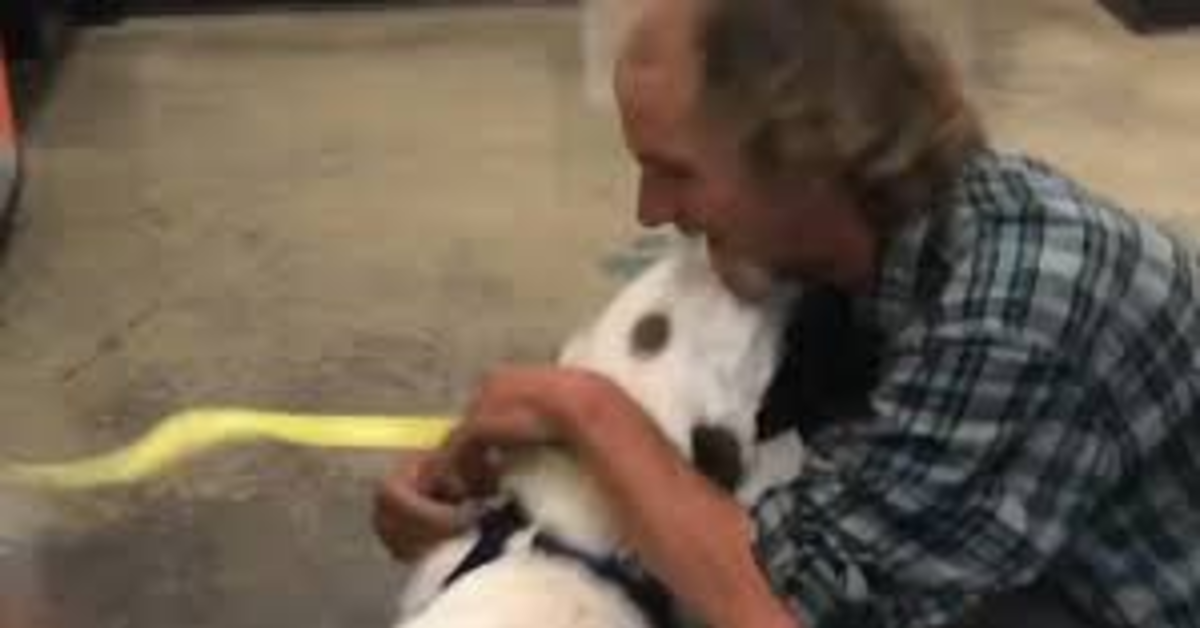 l'abbraccio fra senzatetto e cane
