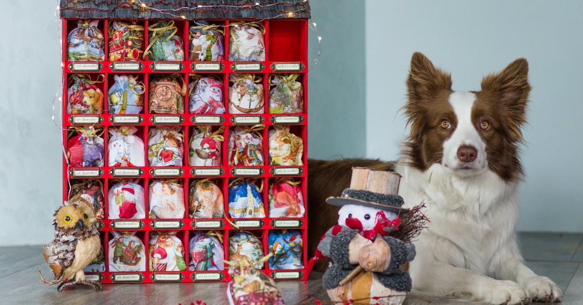 cagnolini babbo natale foto e video