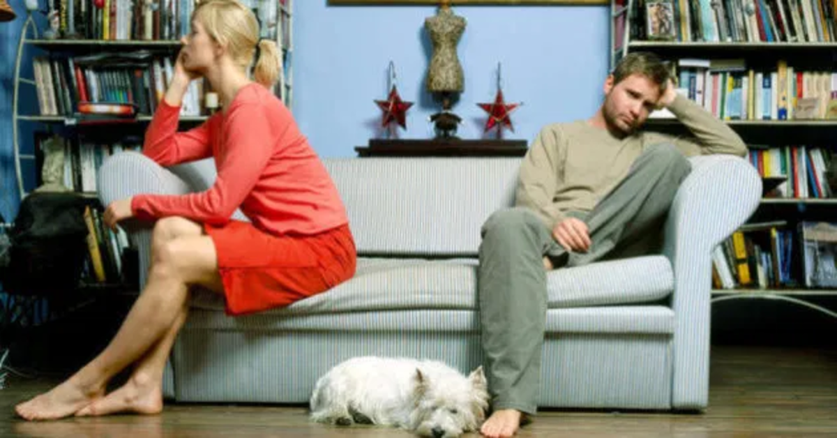 Ecco come capire a chi va il cane se ti separi o divorzi