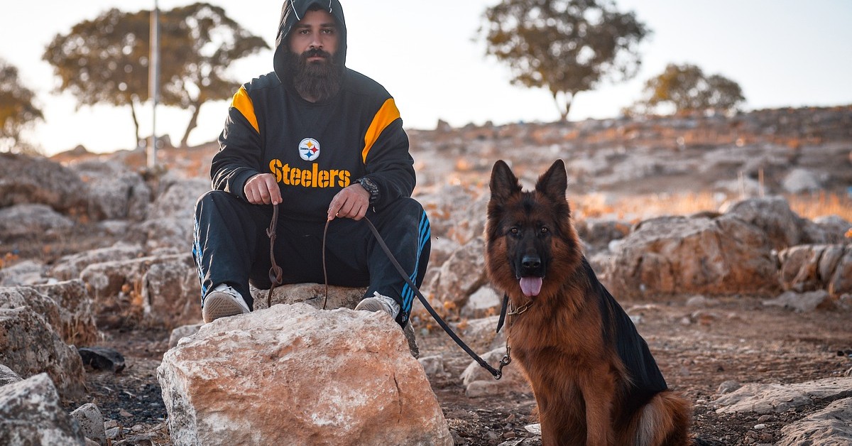 morso del cane può costarti molto caro