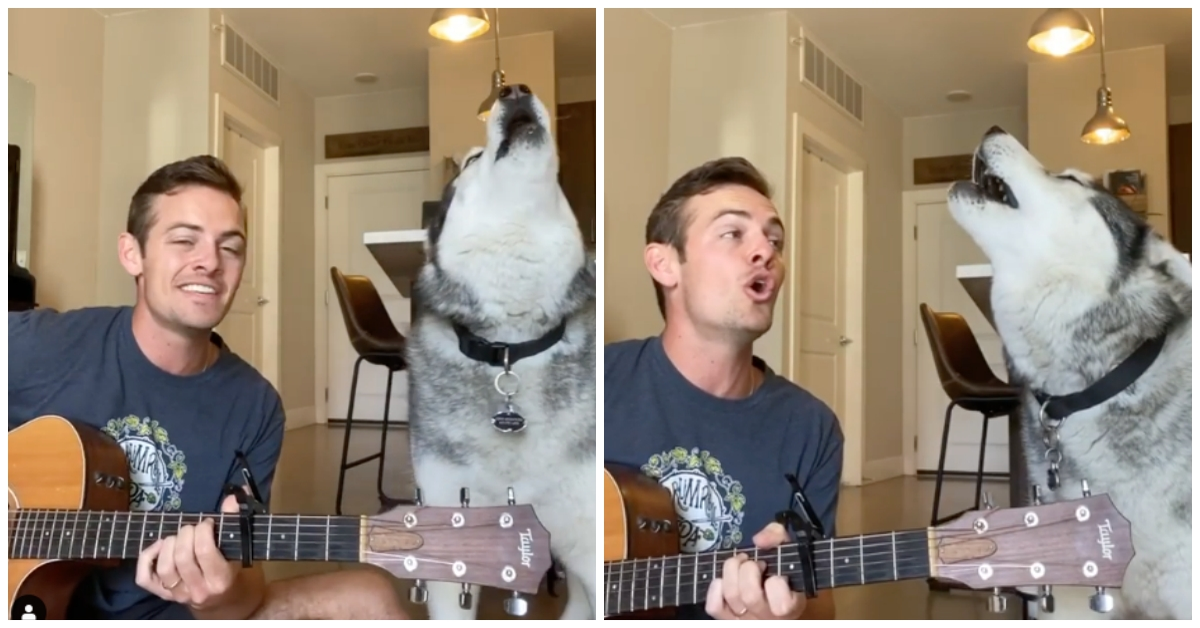 Kovu e Tate cantano insieme una canzone