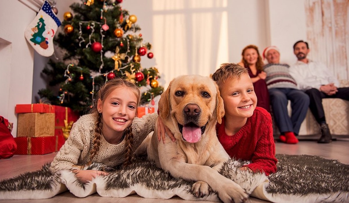 famiglia a natale con il cane