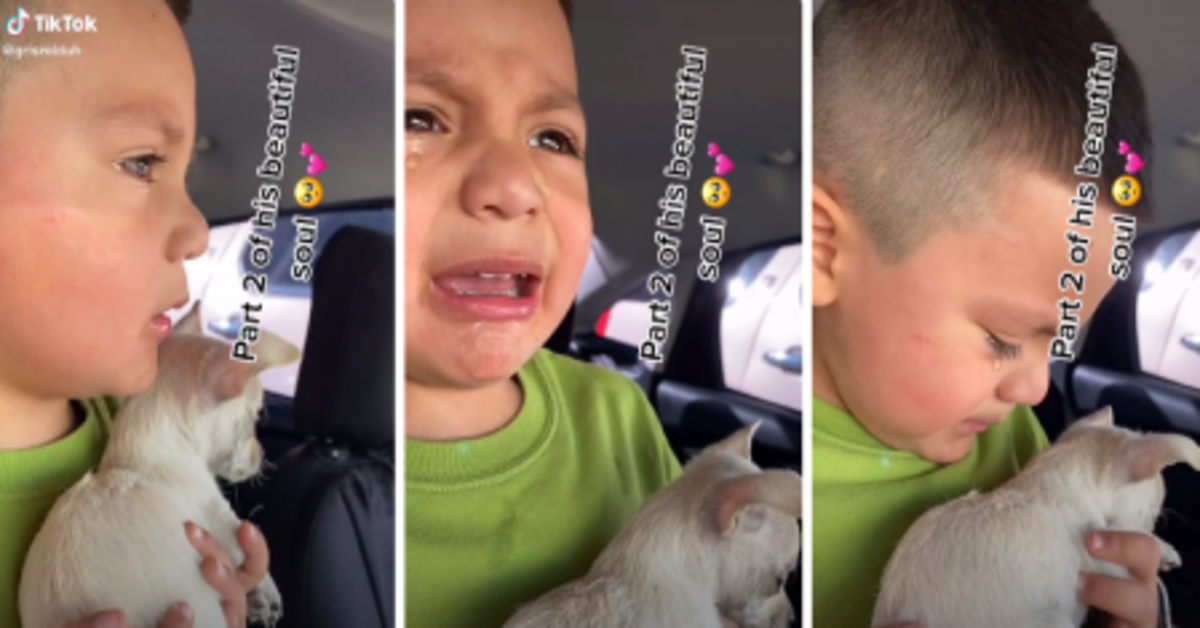 Commovente: bimbo scoppia a piangere quando vede che il suo cucciolo di cane viene vaccinato (VIDEO)