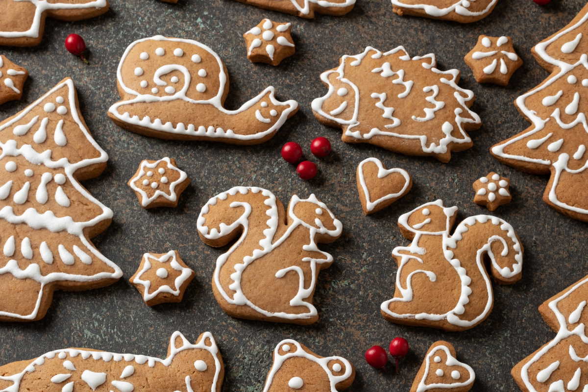 biscotti con glassa per cani