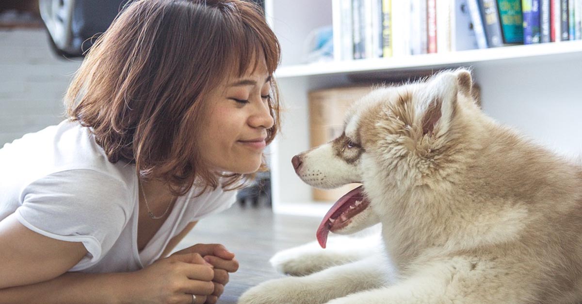 Ecco perché devi lasciar perdere chi dice il contrario e amare il tuo cane come un figlio