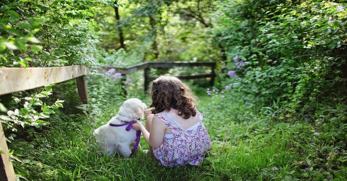 Ecco tutti i trucchi per far avvicinare il bambino al cane è facile se sai come farlo