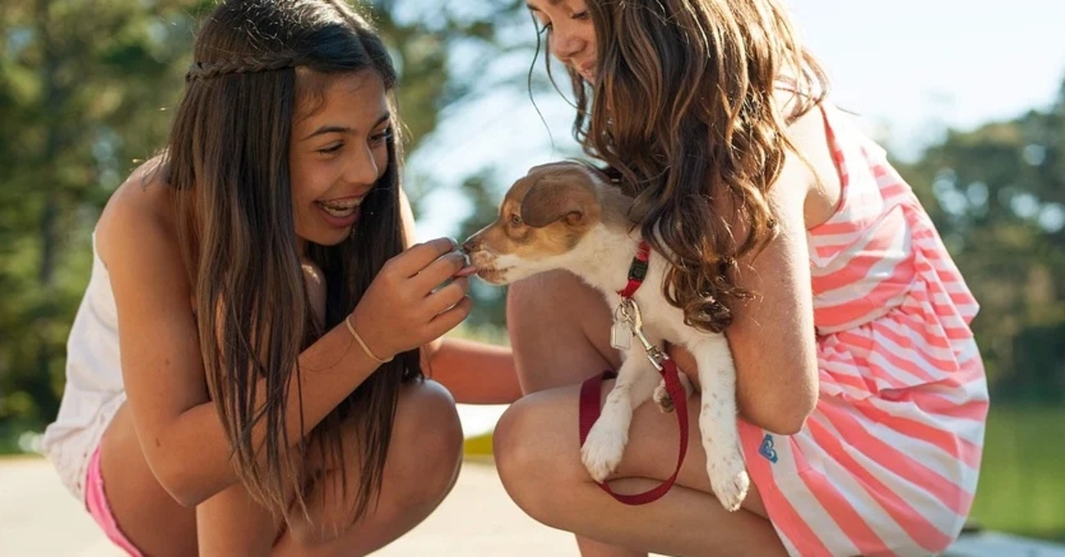 Ecco tutti i trucchi per far avvicinare il bambino al cane è facile se sai come farlo