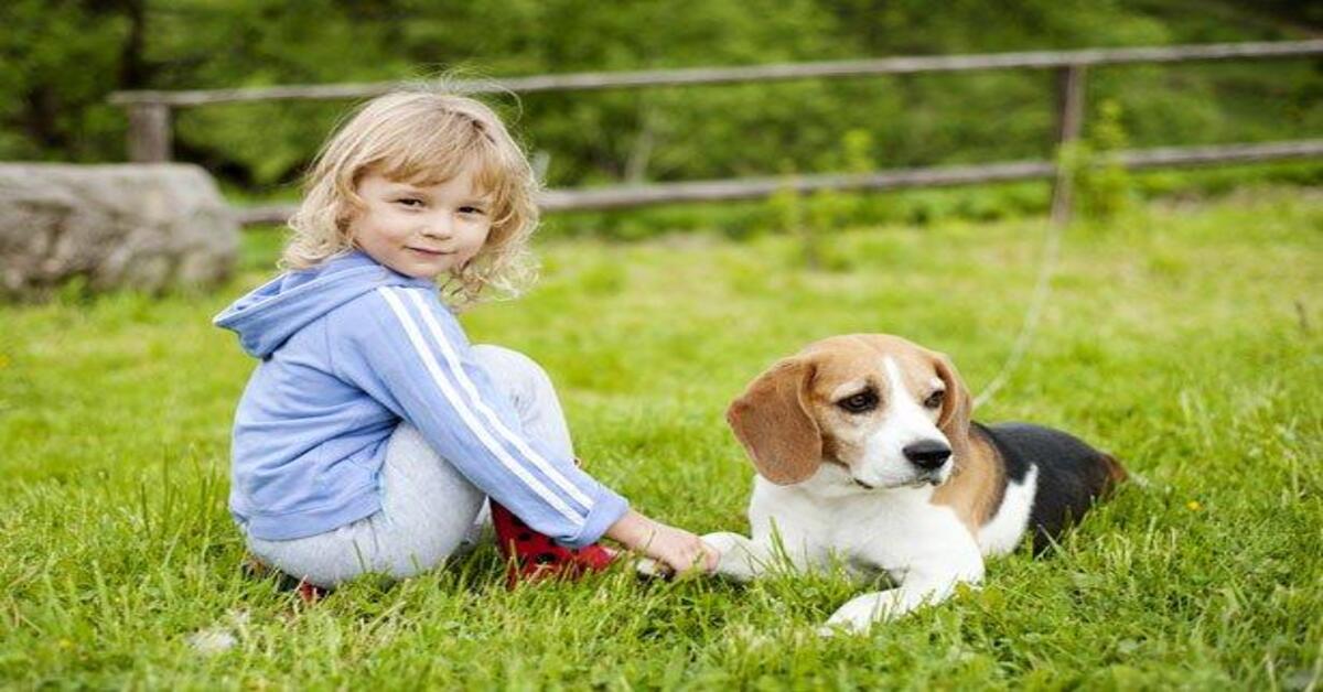 Ecco tutti i trucchi per far avvicinare il bambino al cane: è facile se sai come farlo