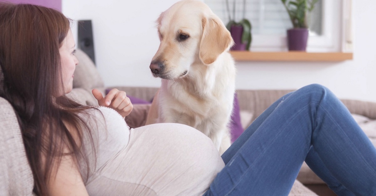 cane e donna incinta