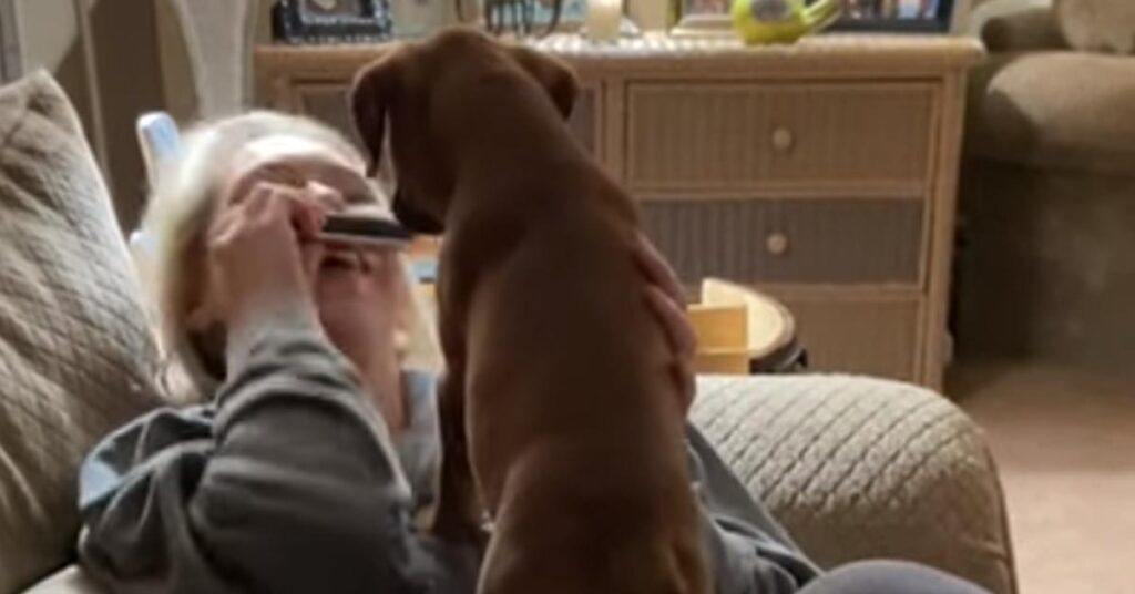 Cane con la sua proprietaria